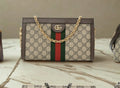 The Florentine Chain Shoulder Bag